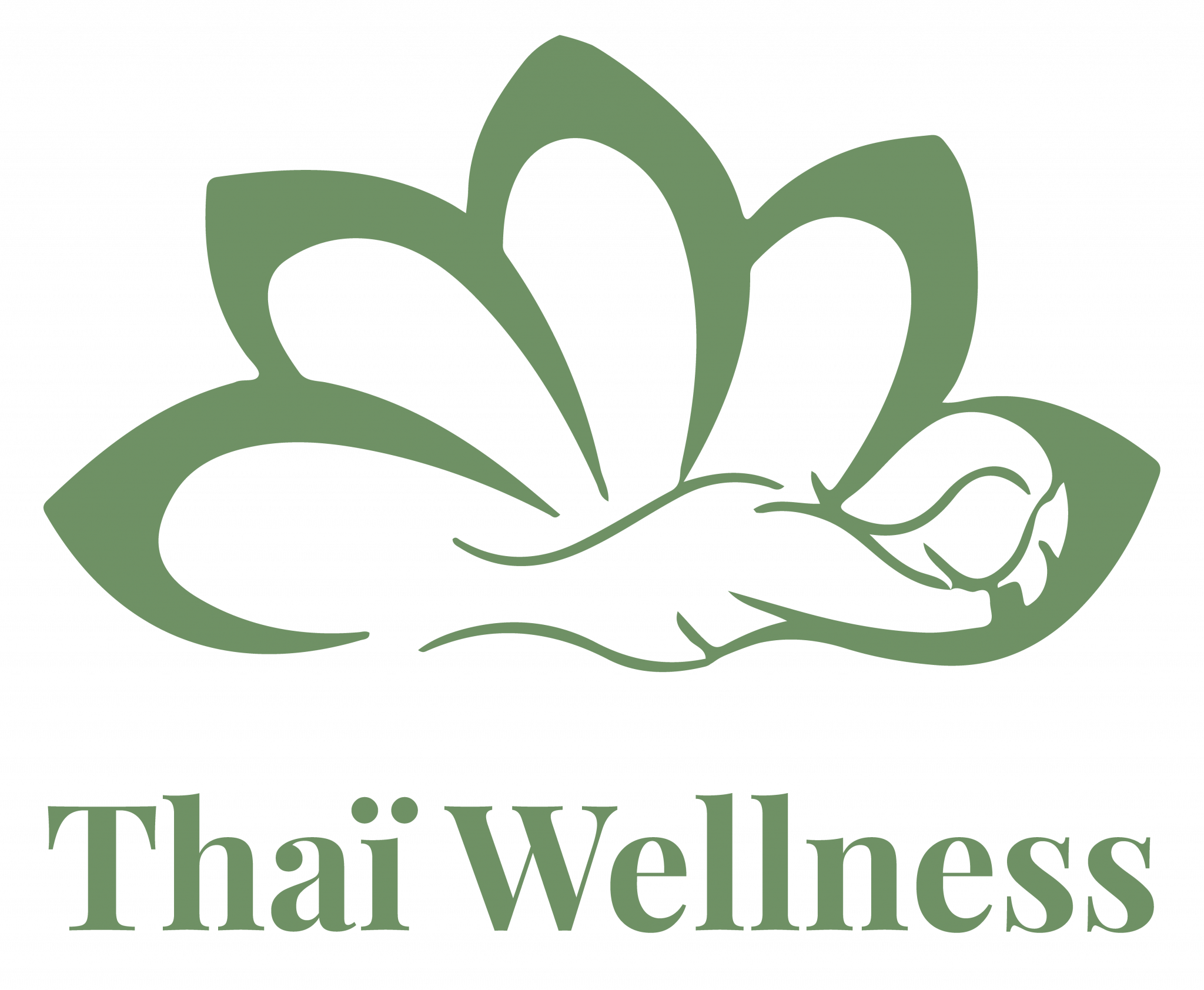 Thai Wellness Lounge Massage Thai Strasbourg